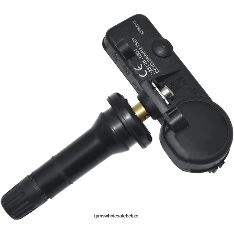 TPMS Kia The Pressure Sensor 529333T000 461MHZ - TPMS Sensor Replacement BT2RL1684